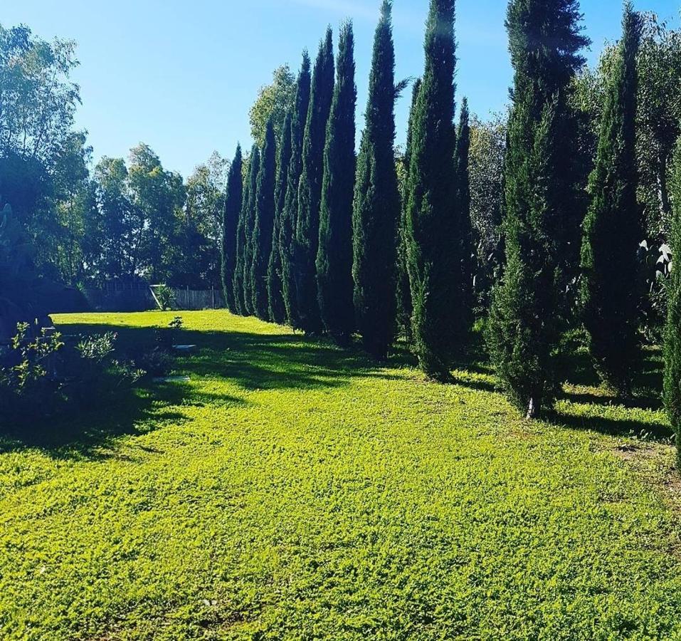 Il Piccolo Borgo Apartment Montalto di Castro Luaran gambar