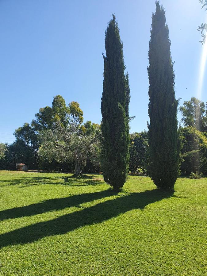 Il Piccolo Borgo Apartment Montalto di Castro Luaran gambar