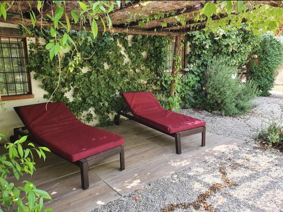 Il Piccolo Borgo Apartment Montalto di Castro Luaran gambar